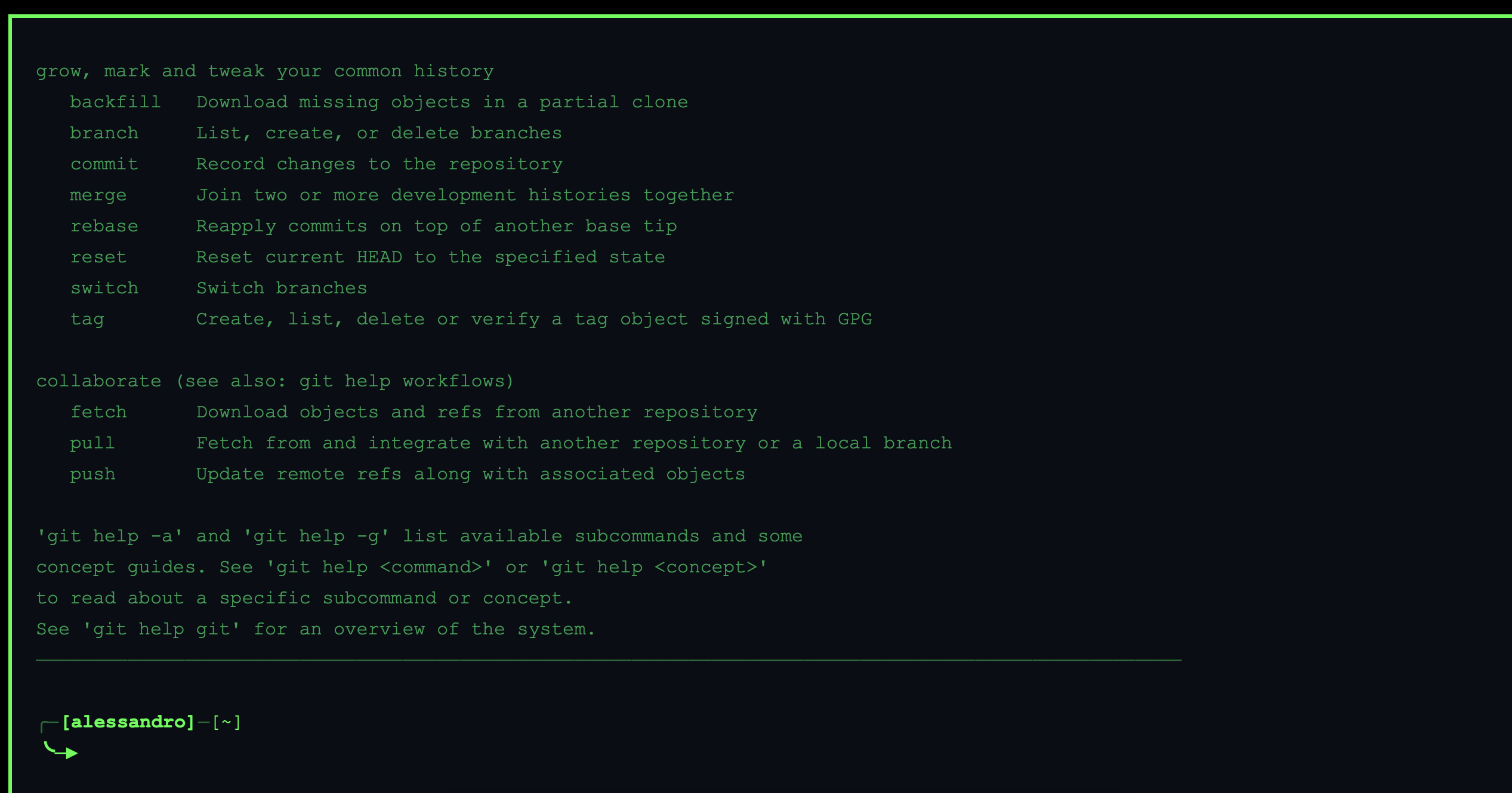 Terminale Screenshot 2